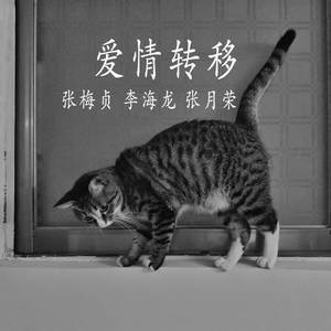 《桃园喜》片段(家门口走出我刘翠华)