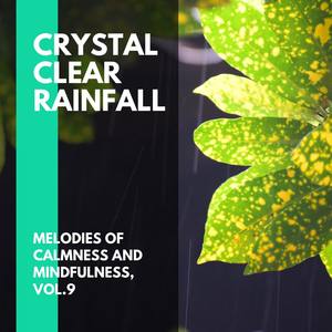 Crystal Clear Rainfall - Melodies of Calmness and Mindfulness, Vol.9