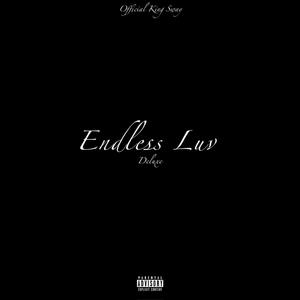 Endless Luv (Deluxe) [Explicit]