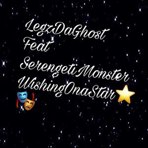 Wishing on a Star(feat. SerengetiMonster) (Explicit)