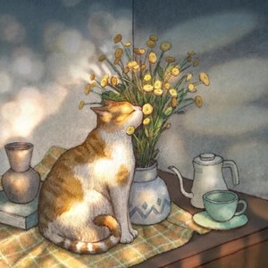 晴天和猫封面