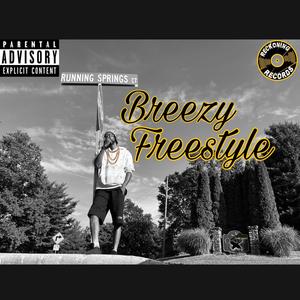 Breezy Freestyle (Explicit)