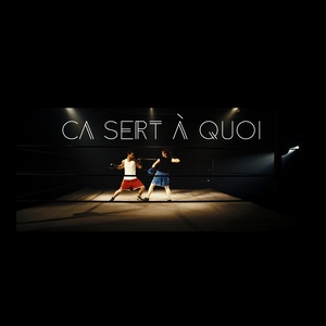 Ça sert à quoi (Remix) - Single