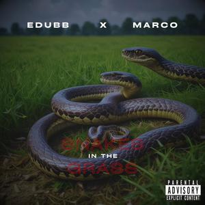 Snakes in the Grass (feat. Marco Park$) [Explicit]