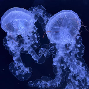 Nehodlám se ptát (Explicit)