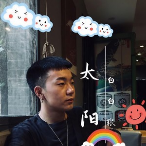 白白张 - 太阳 (烟嗓深情版)