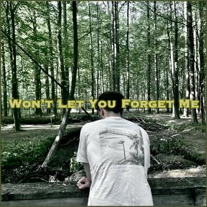 Won't Let You Forget Me (Explicit)