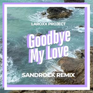Goodbye My Love (SandRock Remix)