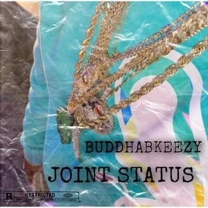 JOINT STATUS (Explicit)