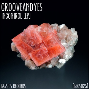 InControl (Original Mix)