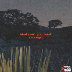 Whatever You Want (Explicit)