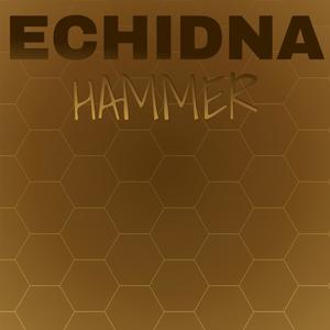 Echidna Hammer