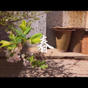 春 (Demo)