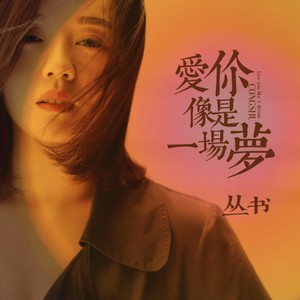爱你像是一场梦封面