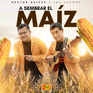 A Sembrar El Maíz