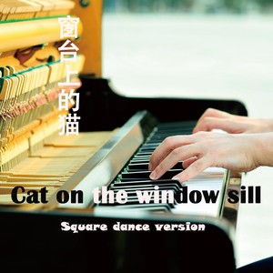窗台上的猫 (广场舞版)