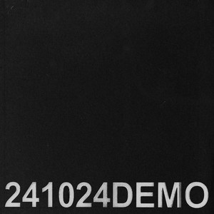 241024DEMO