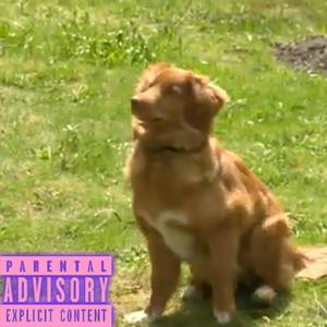 DOG $hit (Explicit)