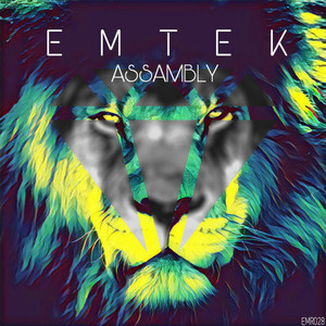 Assambly (Original Mix)