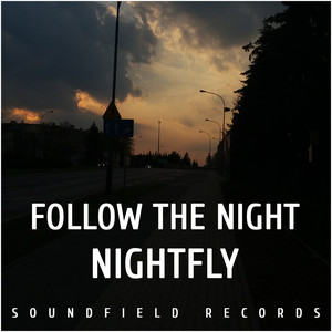 Nightfly (Original Mix)