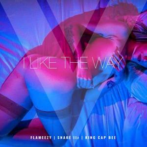 I Like the Way (feat. Snake Iiz & King Cap Bee)