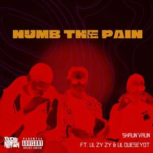 Numb The Pain (feat. Lil ZyZy & Lil Queseyot) [Explicit]