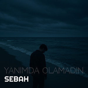 Yanımda Olamadın
