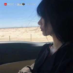 沈阳风暴 (DJ版)