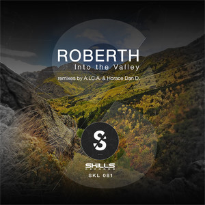 Into The Valley (A.L.C.A. Reinterpretation)