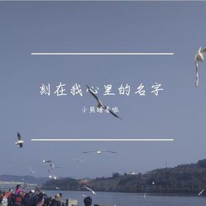 星星在唱歌 (温柔男声版)