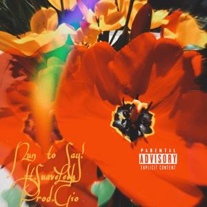 Nun to Say (feat. SuaveLeek) (Explicit)