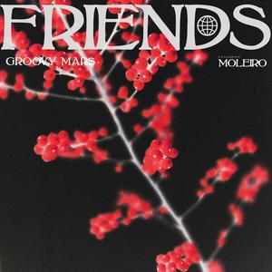 Friends (feat. Moleiro) [Radio Edit]