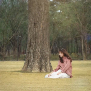 역시 (as expected) (果然)