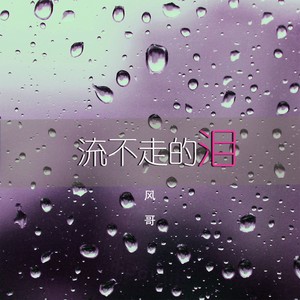 流不走的泪 (伴奏)