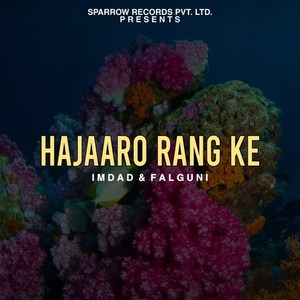 Hajaaro Rang Ke