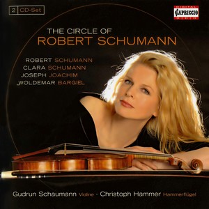 Violin Sonata No. 2 in D Minor, Op. 121 - IV. Bewegt (第四乐章 激动的)