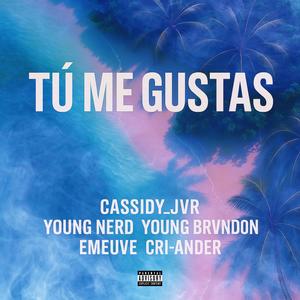 Tú Me Gustas (feat. Young Brvnd0n, Young Nerd, EmeuVe & Cri-ander) (Explicit)
