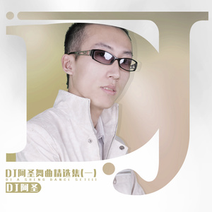 DJ阿圣 - 大东北 (DJ版)