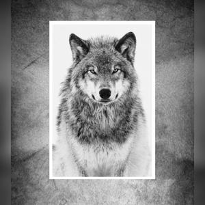 Deutschraps Alphatier (Explicit)