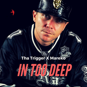 In Too Deep (Explicit)