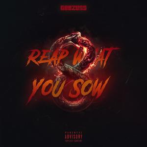 Reap What You Sow (Explicit)