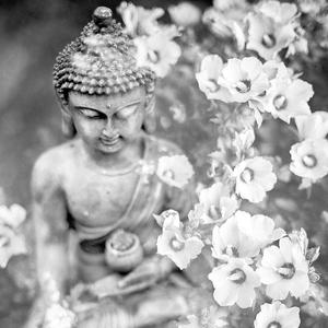 Solar Plexus Embracing My Inner Power