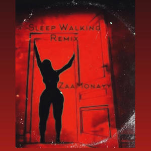 Sleep Walking (Sleep Walking Remix) [Explicit]