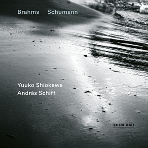 Violin Sonata No. 1 in G Major, Op. 78 - Brahms: Violin Sonata No. 1 in G Major, Op. 78: I. Vivace ma non troppo