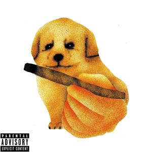 Fido (Explicit)