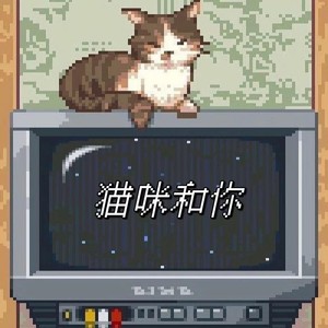 猫咪和你