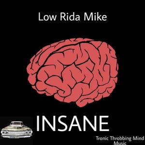 Insane (Fumblebum Remix|Explicit)