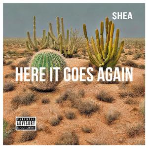 Here It Goes Again (Explicit)