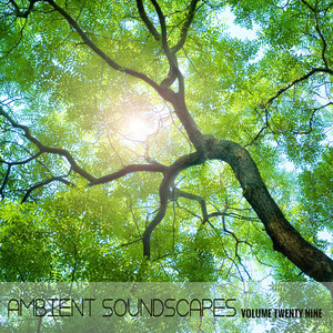 Ambient Soundscapes, Vol. 29