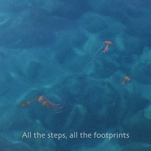 All the Steps, All the Footprints